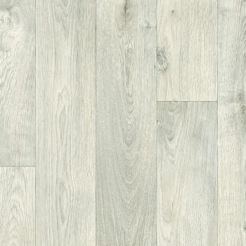 IVC Prime Suari 002
